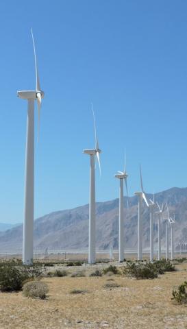 a line of windmills