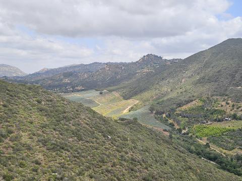 wineries I think near Monserate