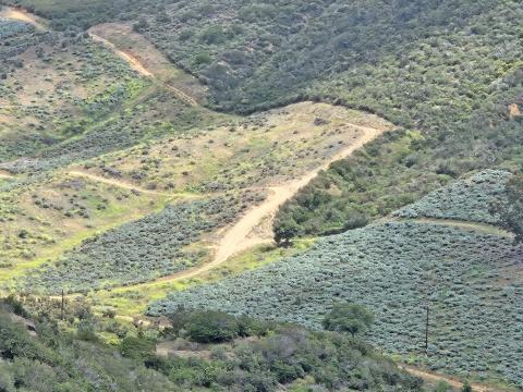 wineries I think near Monserate