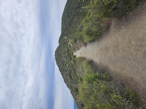 spine back trail - Monserate