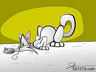 Cat and Mouse cat and mouse
