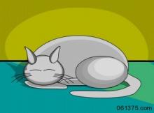 kitty sitting in the sun how he get his beeyowing done